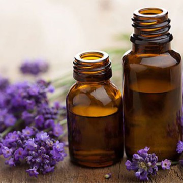 8 mẹo đuổi và diệt muỗi hiệu quả phòng tránh vi rút Zika